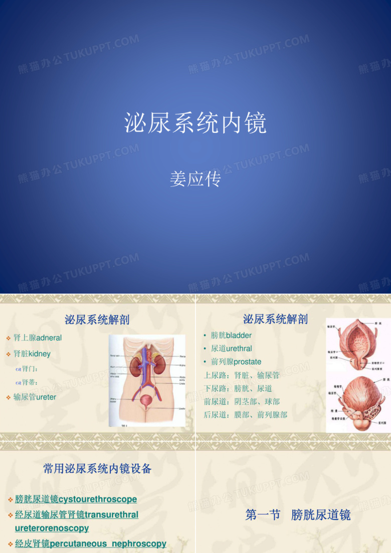泌尿系统内镜