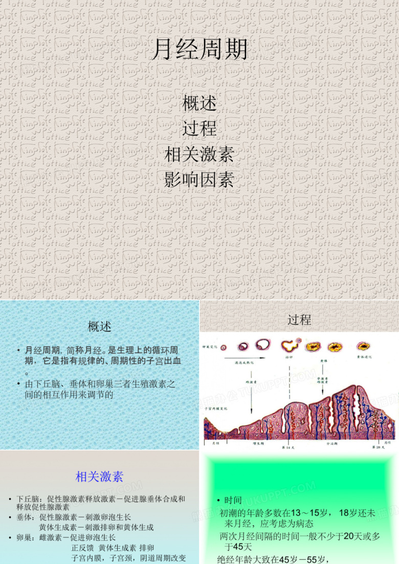 月经周期