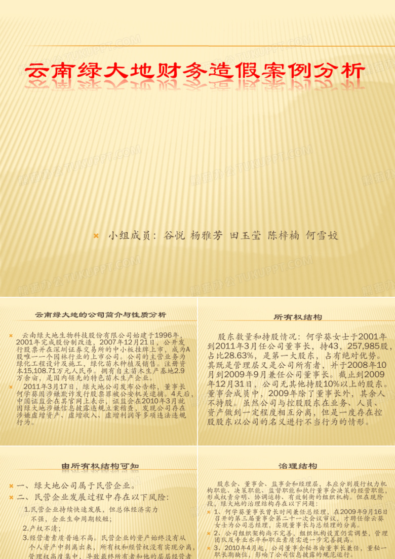 绿大地财务造假分析