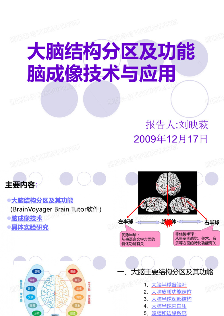 大脑分区