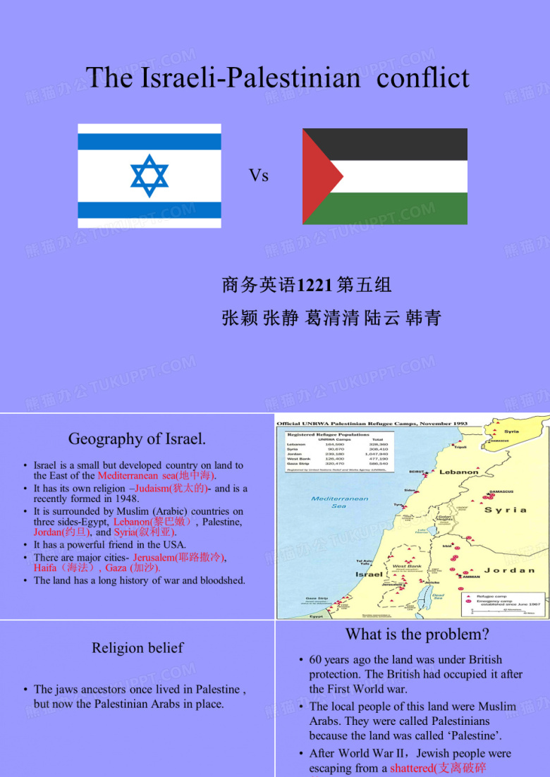 巴以冲突英文ppt