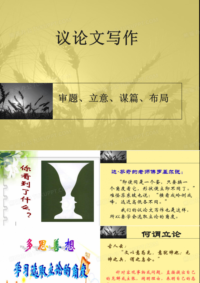 议论文写作