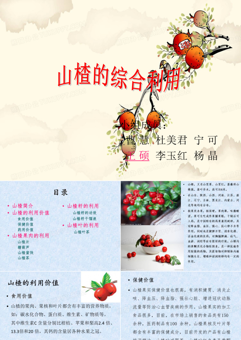 山楂的综合利用