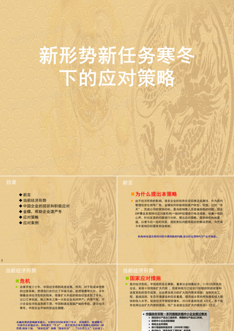 新形势新任务寒冬下的应对策略.2021优选PPT