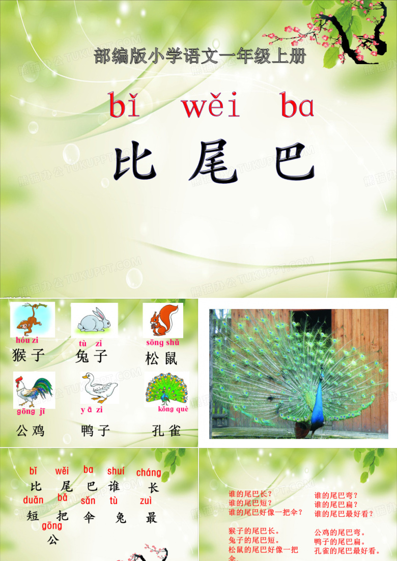 《比尾巴》课件
