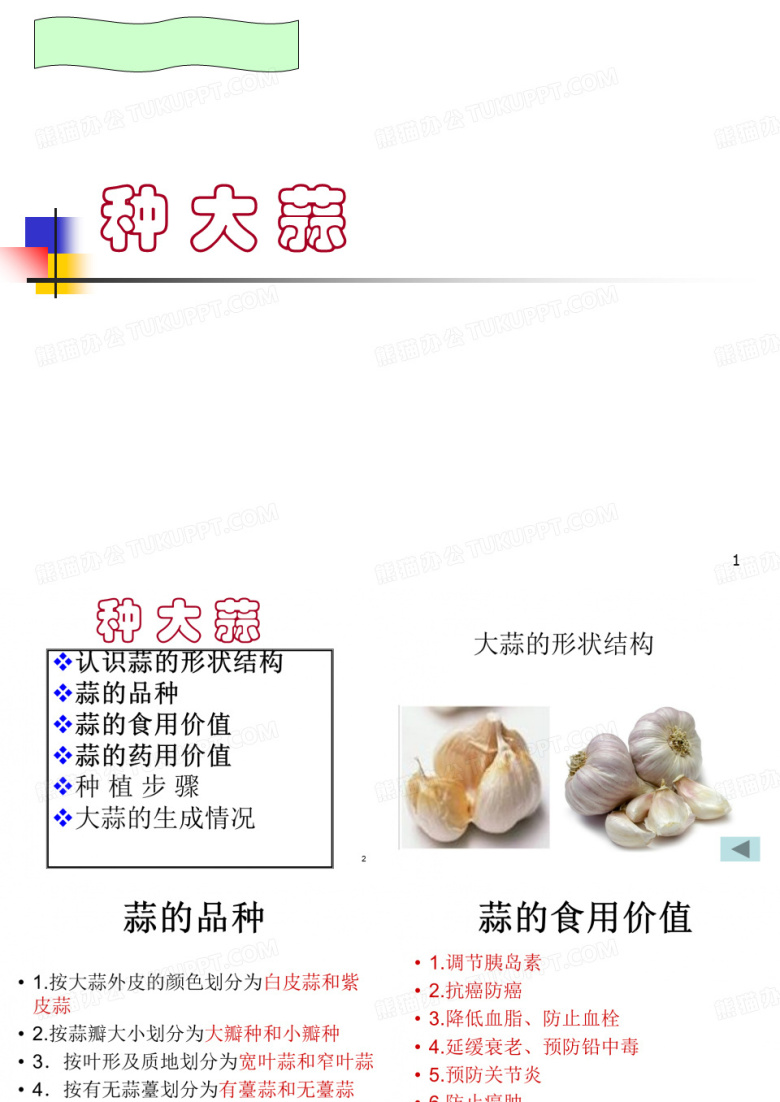种大蒜PPT课件