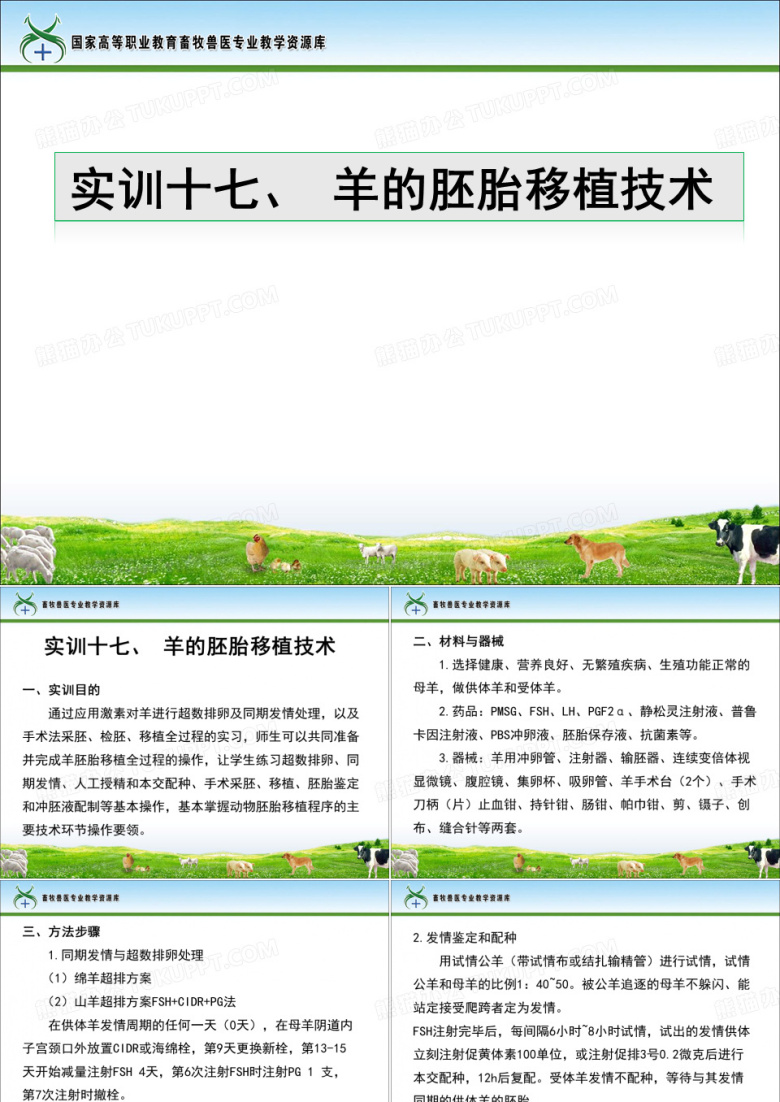 实训17羊的胚胎移植技术课件.