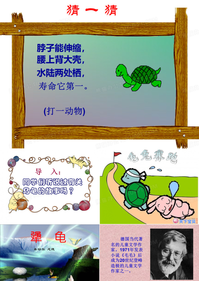 17 犟龟