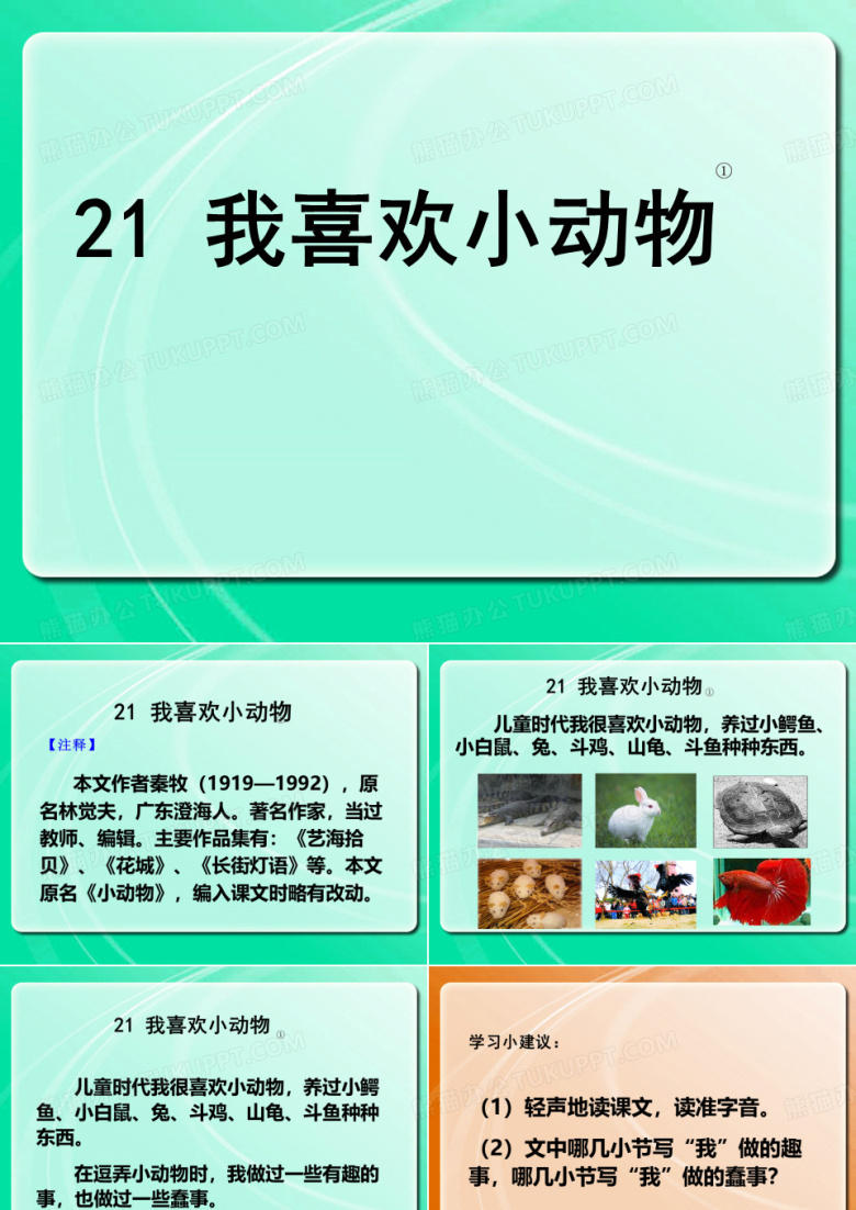 我喜欢小动物
