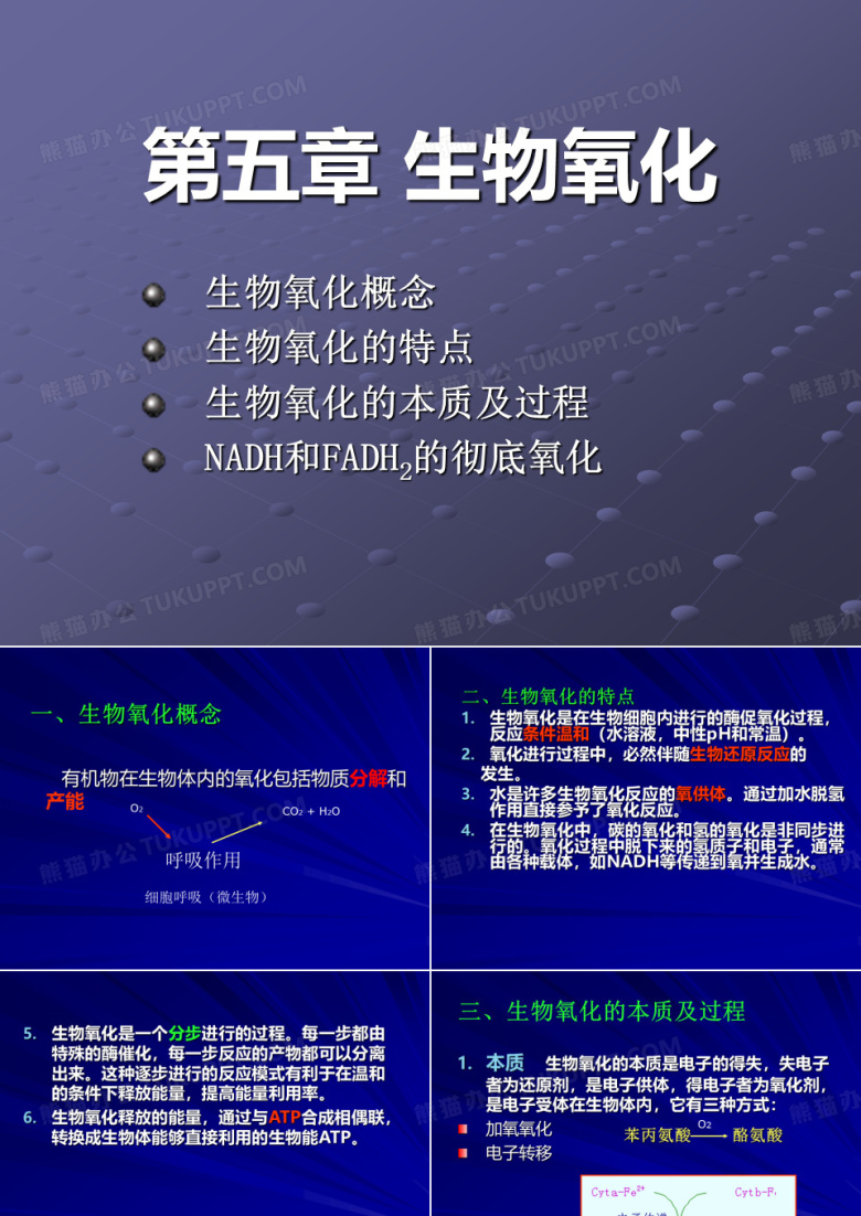 生物化学课件