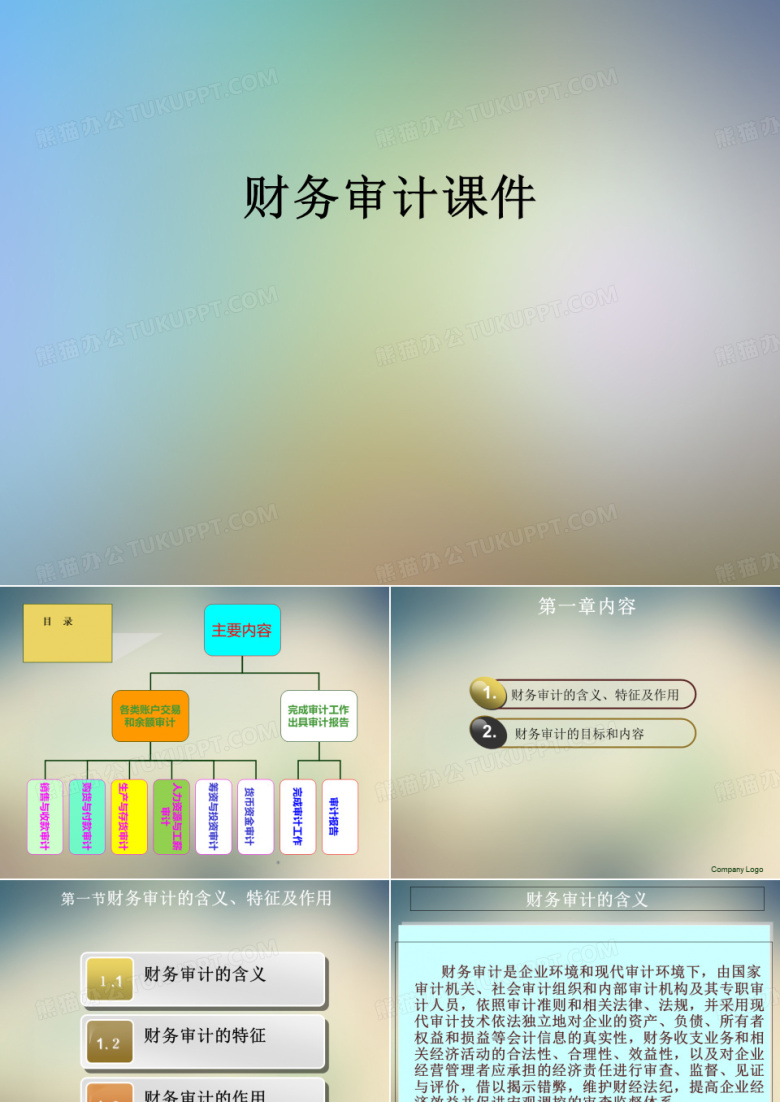 财务审计课件