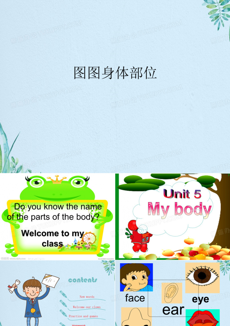图图身体部位
