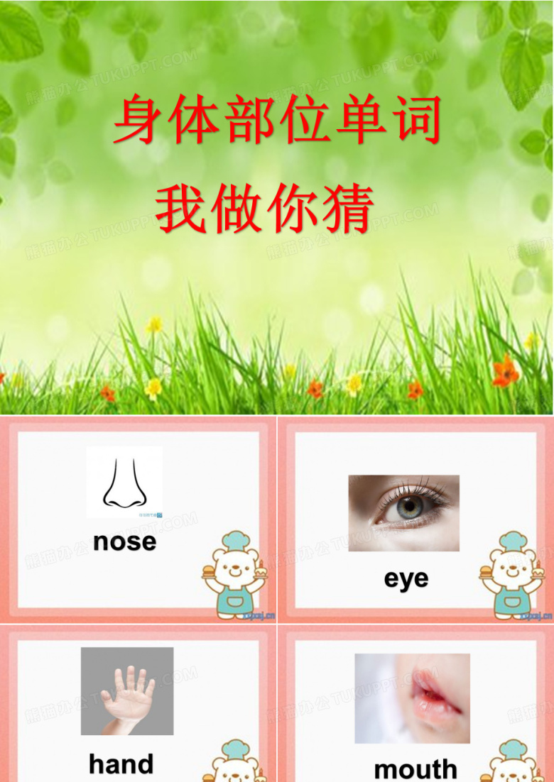 身体部位单词