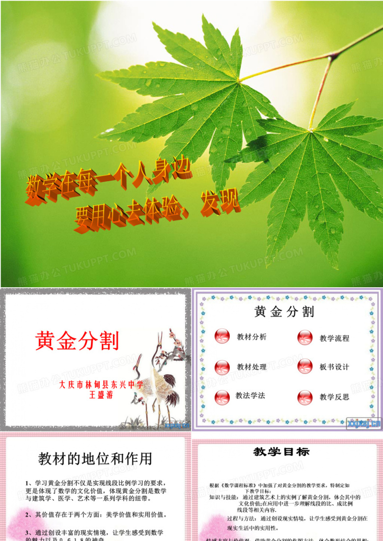 黄金分割 说课稿--数学教师说课大赛