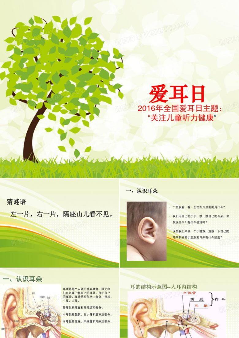 幼儿园中班健康领域活动《爱耳日》PPT课件