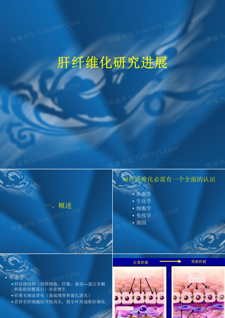 肝纤维化研究进展