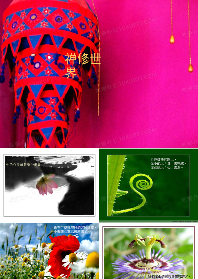 阿姜查的禅修世界