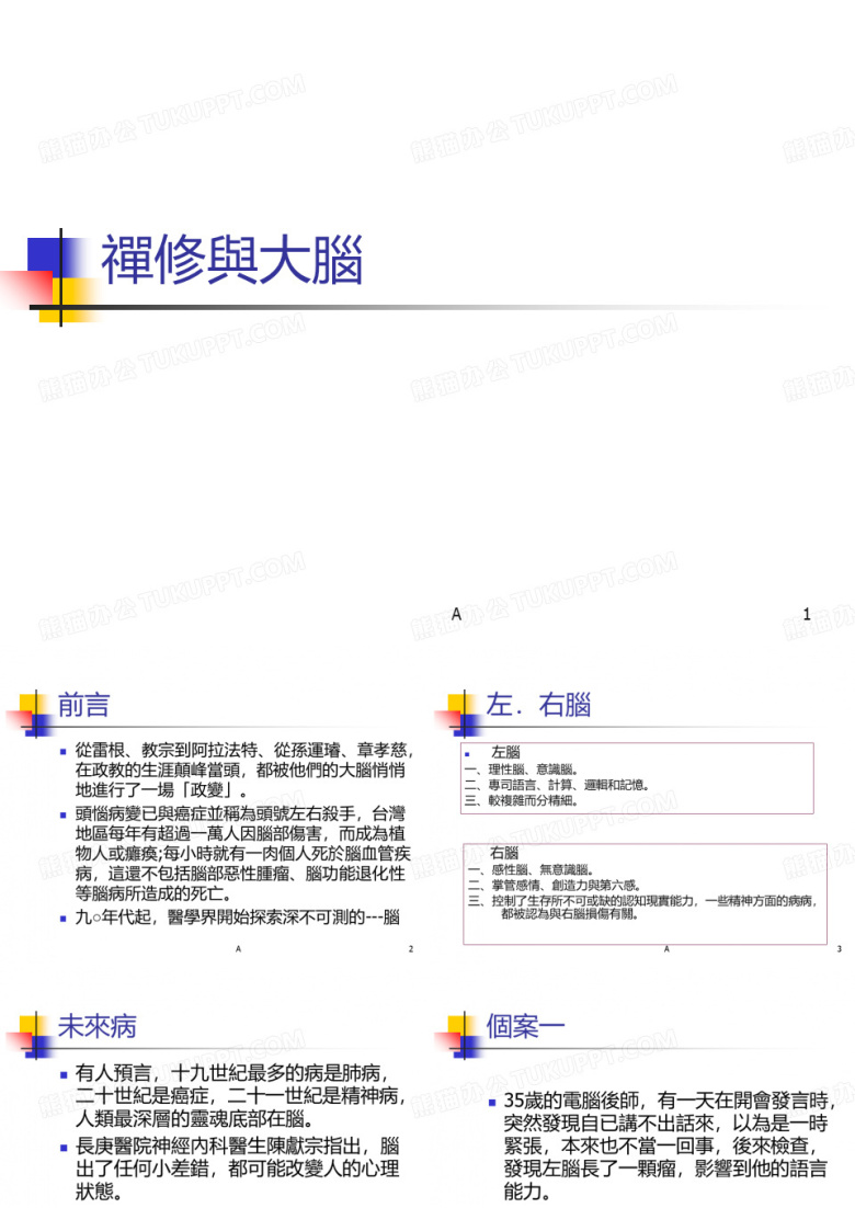 《禅修与大脑》PPT课件