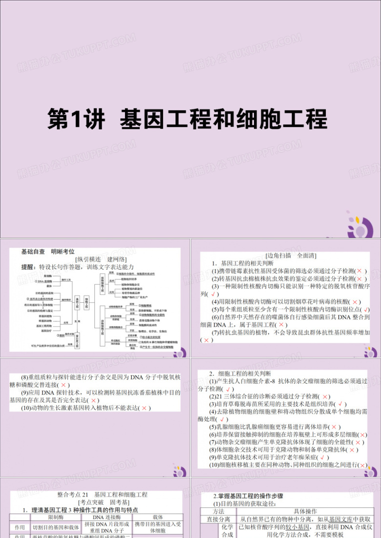 高考生物二轮复习专题七现代生物科技专题1基因工程和细胞工程课件