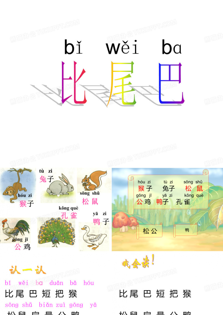 比尾巴课件