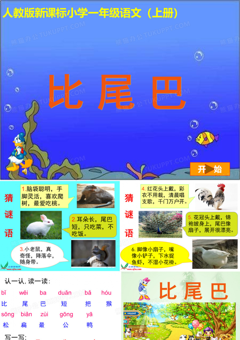 《比尾巴》课件
