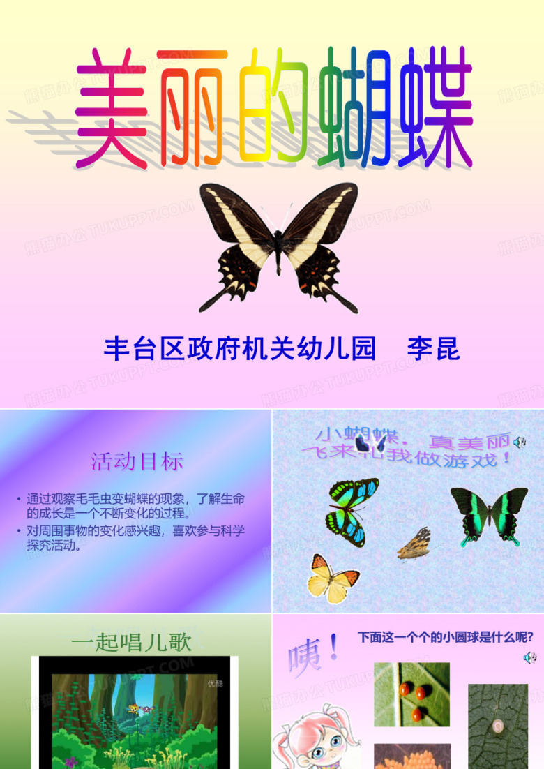 美丽的蝴蝶课件