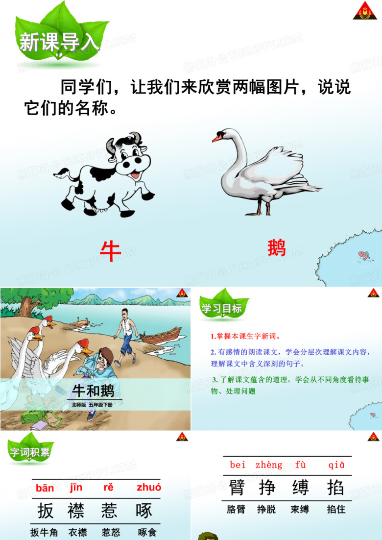 牛和鹅