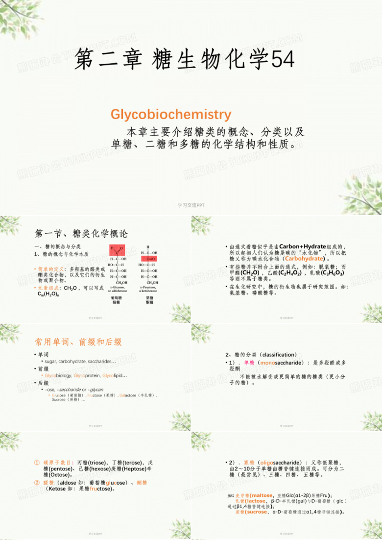 糖类生物化学课件