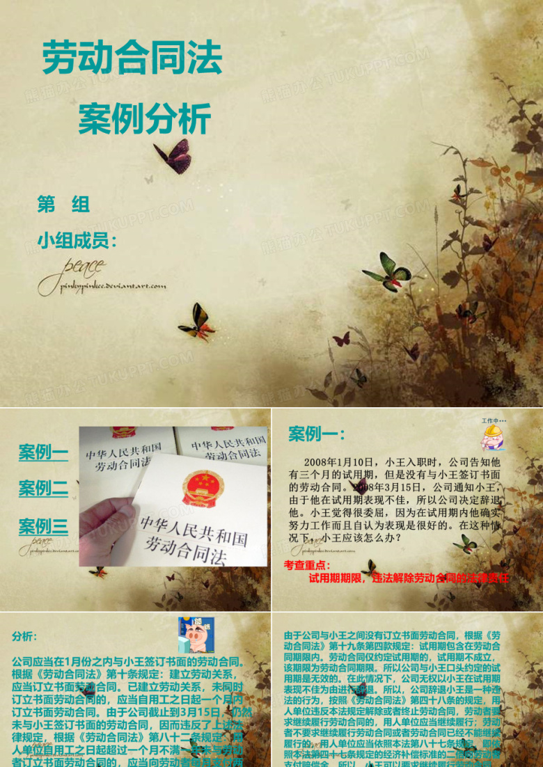 经济法案例分析