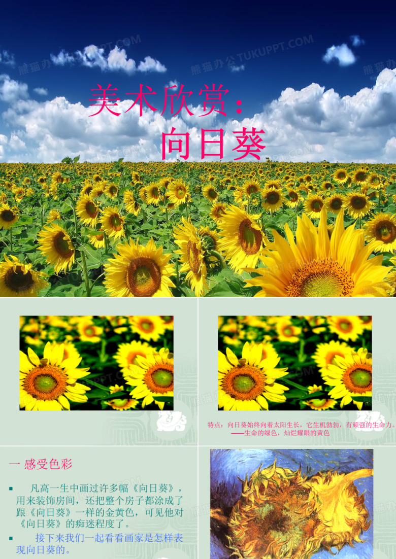机关幼儿园《大班美术：向日葵》PPT课件