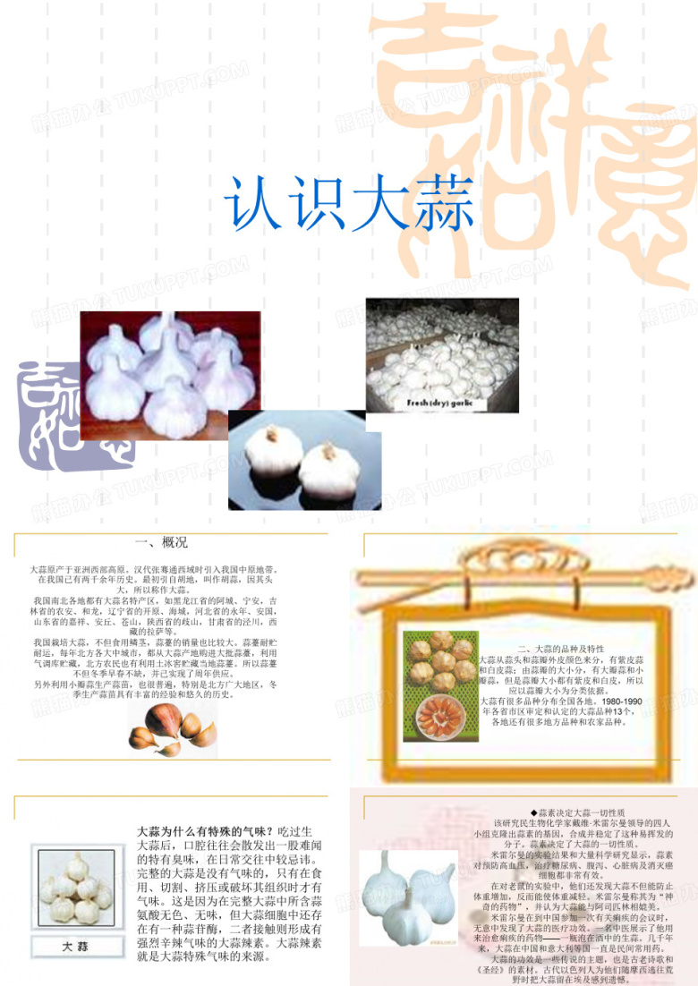 认识大蒜