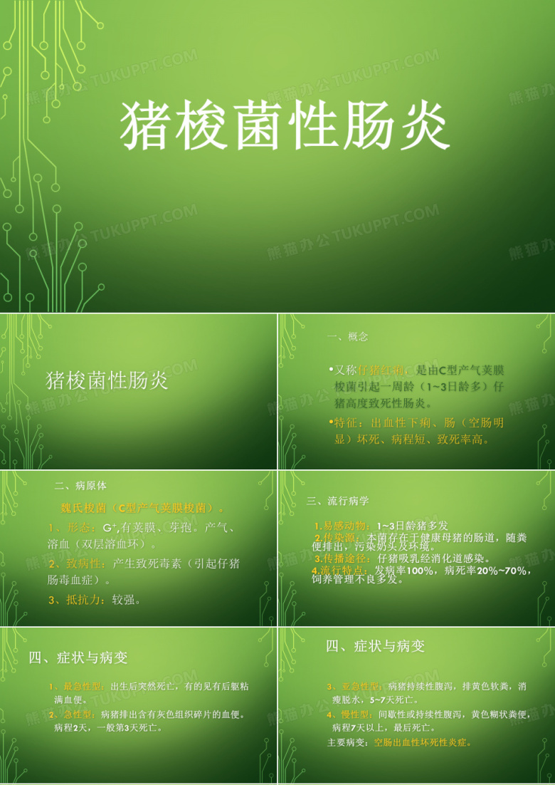 猪梭菌性肠炎