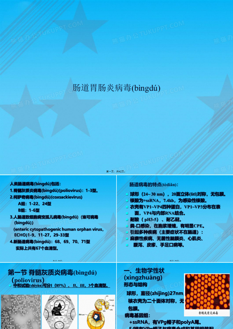 肠道胃肠炎病毒