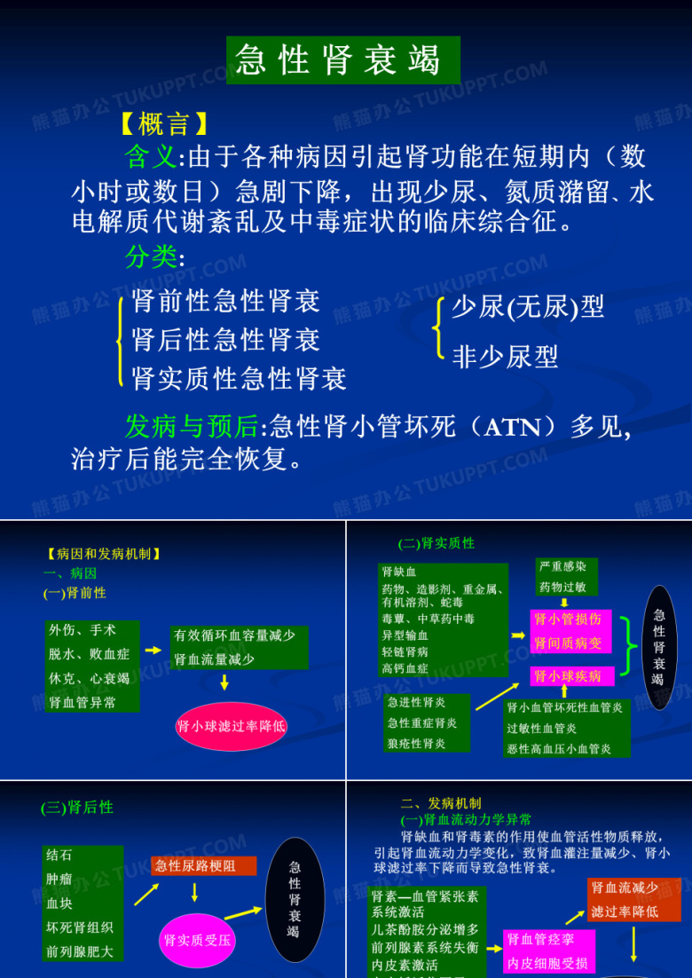 急性肾衰