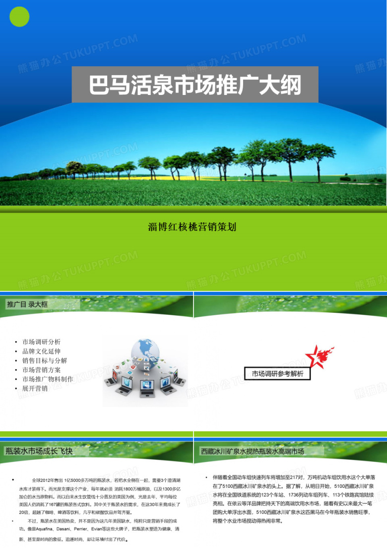 巴马活泉市场营销规划大纲