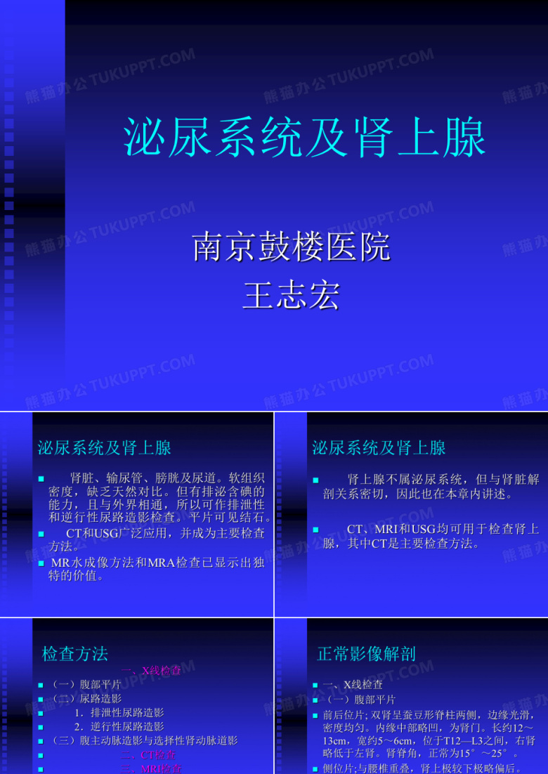 泌尿系统及肾上腺