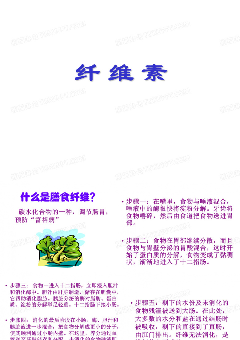 纤维素