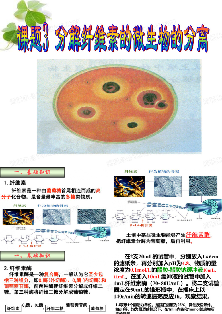 分解纤维素