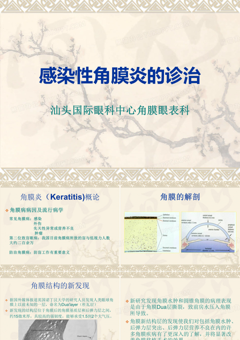 感染性角膜炎