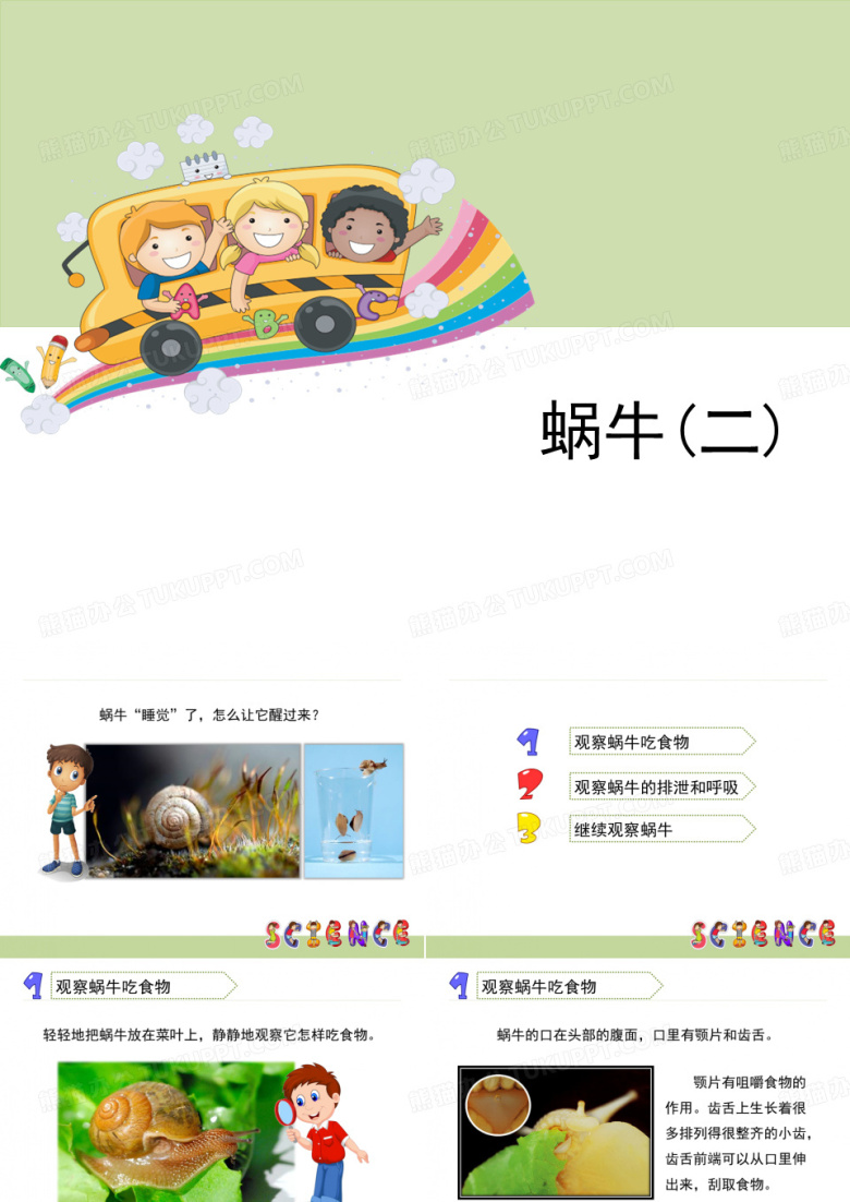 三年级科学上册三年级科学《蜗牛(二)》教科版