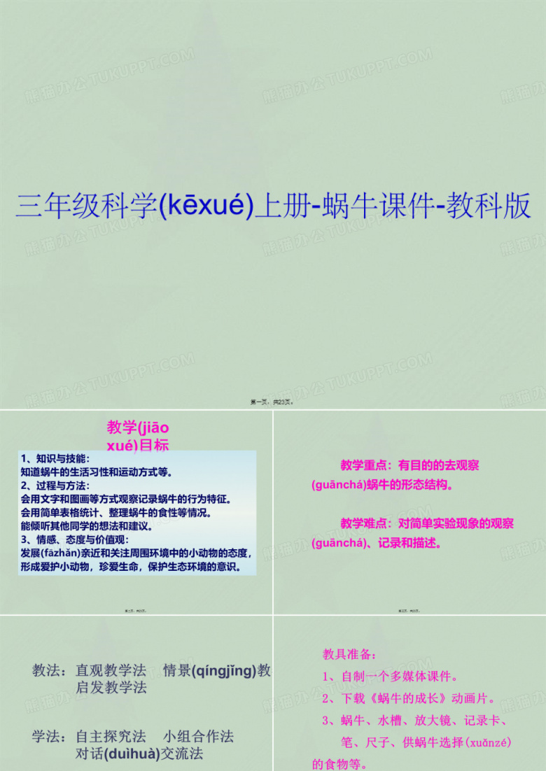 三年级科学上册-蜗牛课件-教科版