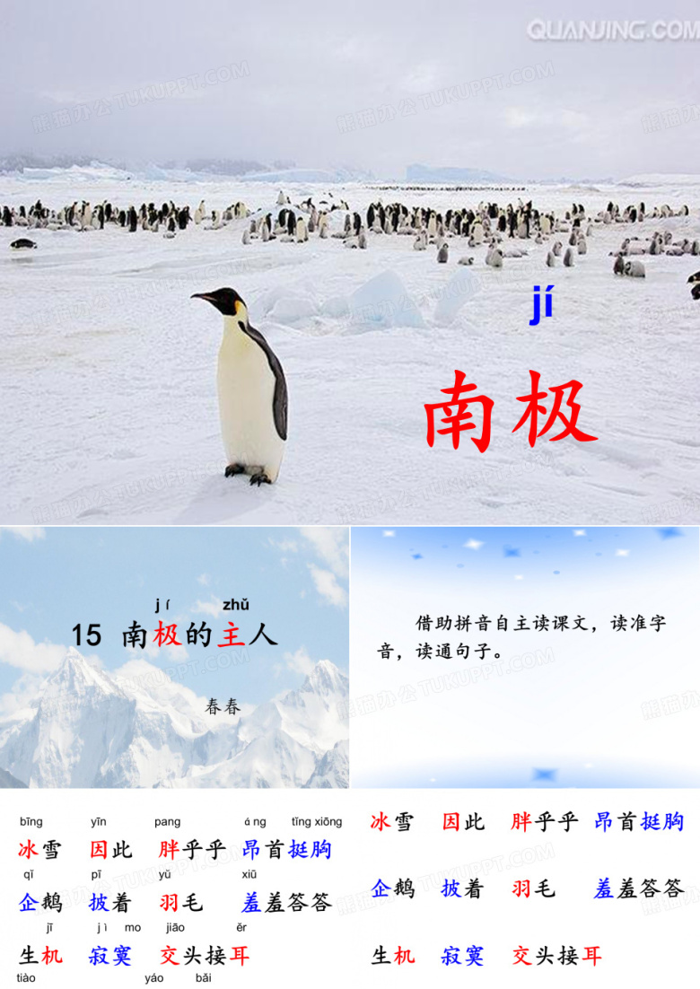 一年级下册语文课件-15-南极的主人｜苏教版(2016) (共27张PPT)