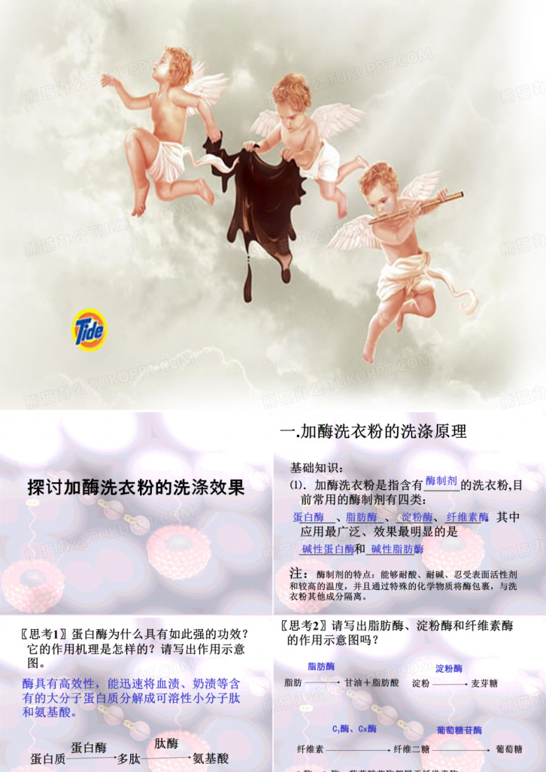 加酶洗衣粉