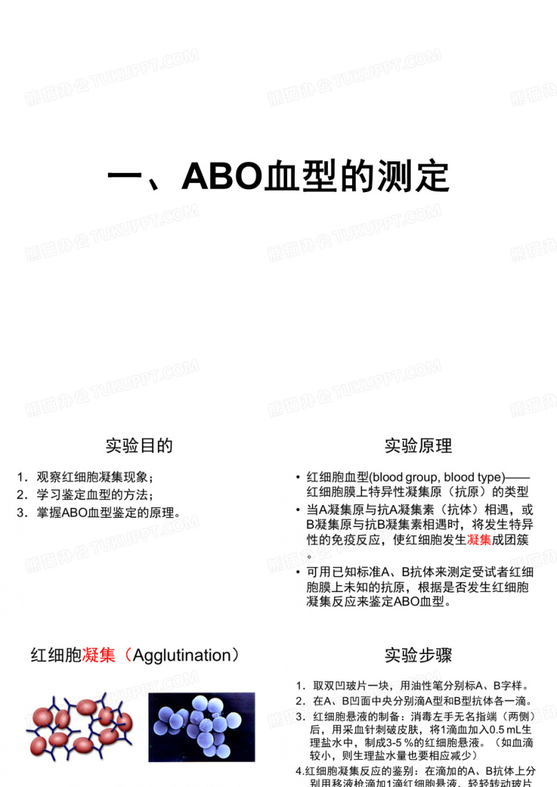 血型测定_体表心电图、心音、脉搏同步记录