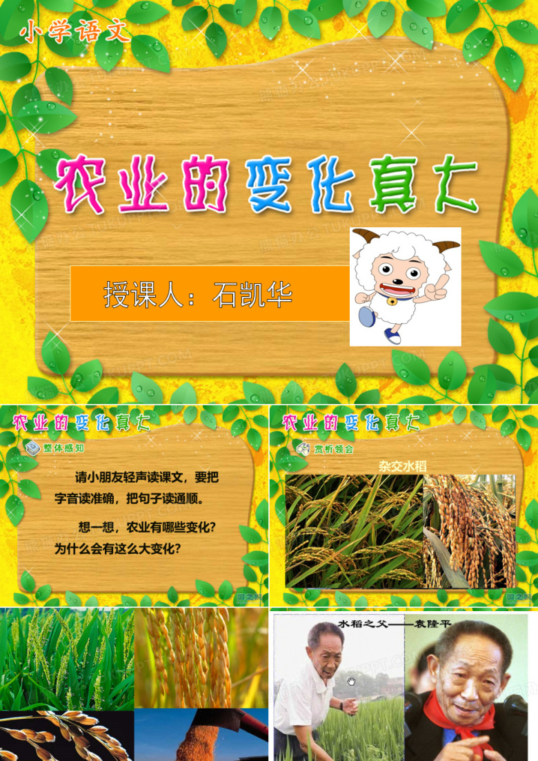 农业的变化真大  石凯华