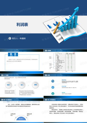 利润表PPT模板_利润表PPT模板下载_熊猫办公