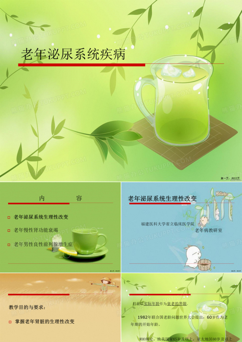 老年泌尿系统疾病