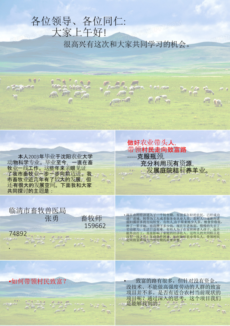 庭院秸秆养羊--开篇