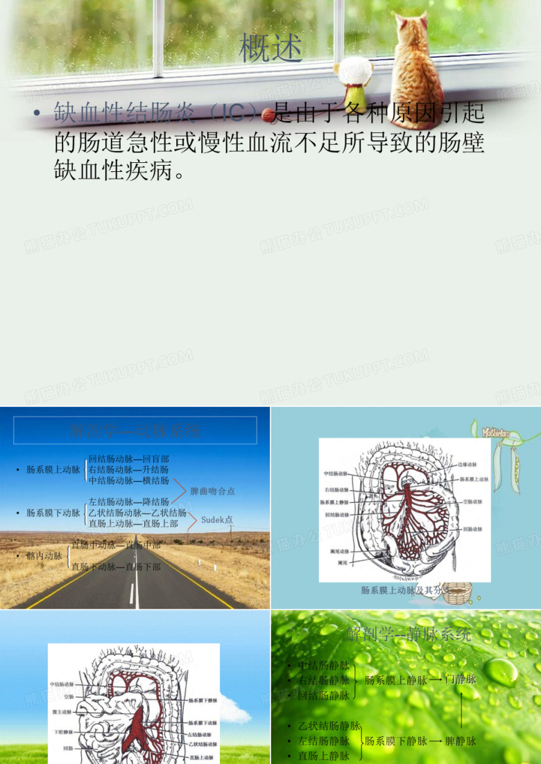 缺血性结肠炎
