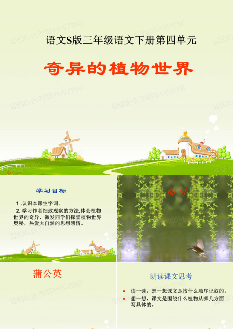 会走路的树 南美洲生长着一种既有趣又奇特的植物,名叫卷柏